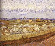 Vincent Van Gogh Blooming peach France oil painting artist